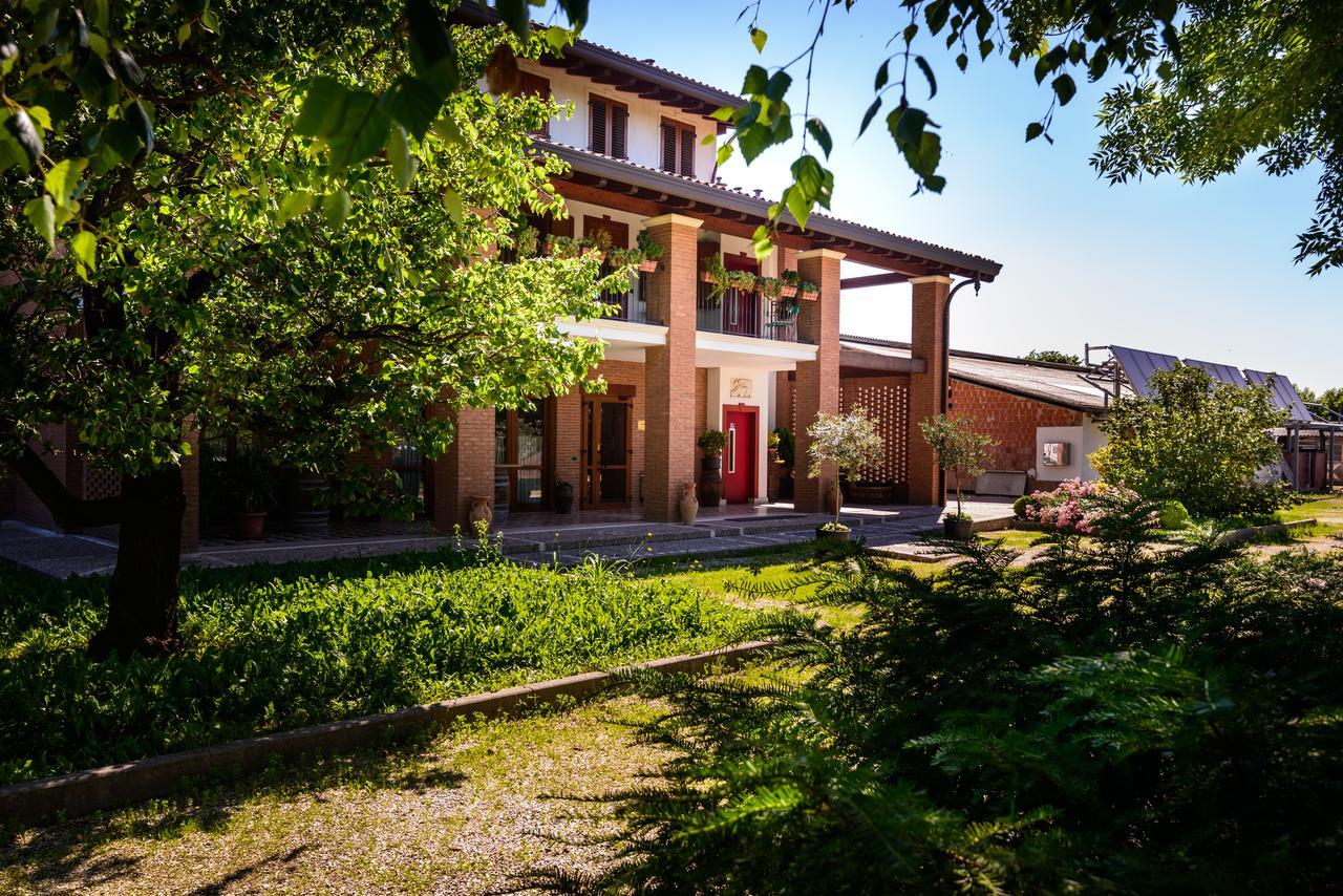 Agriturismo Nonis 산비토알타글리아멘토 외부 사진