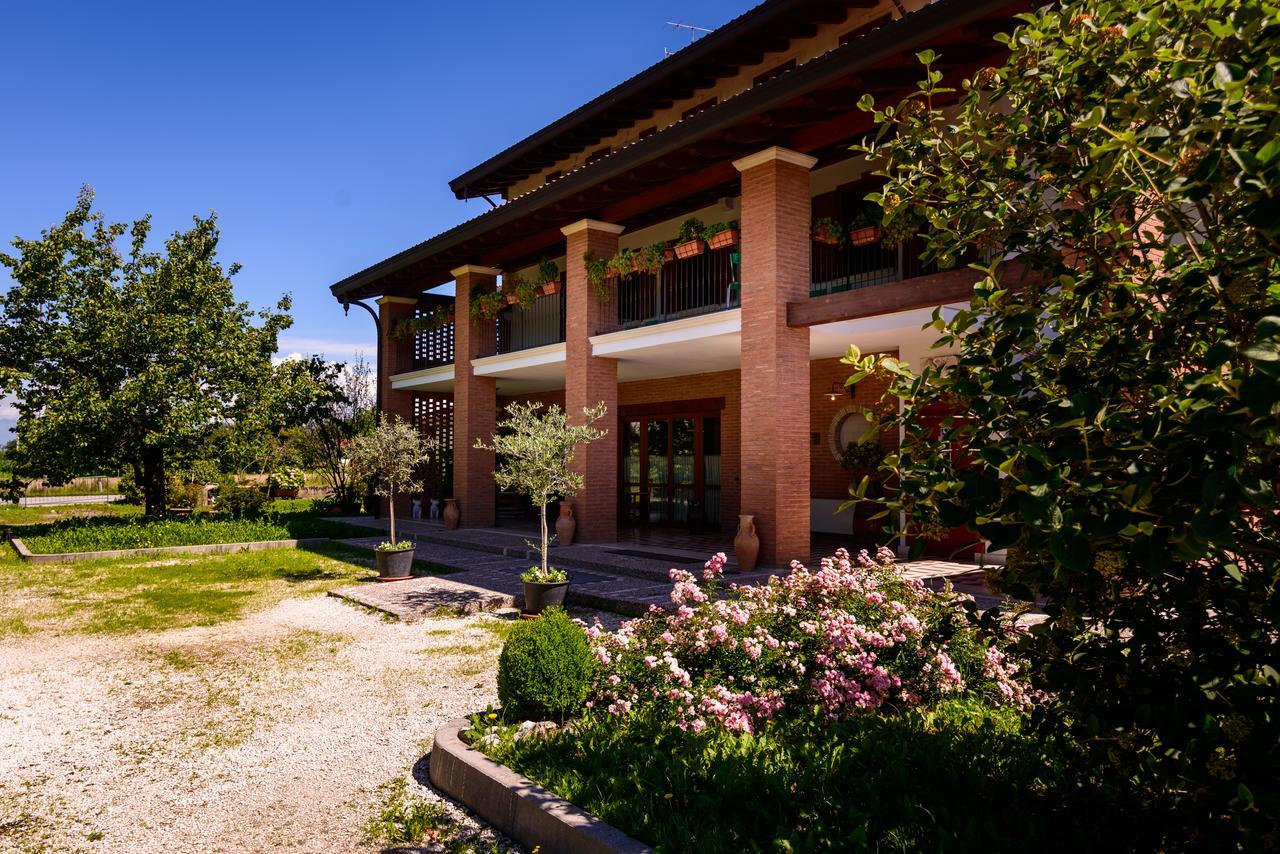 Agriturismo Nonis 산비토알타글리아멘토 외부 사진